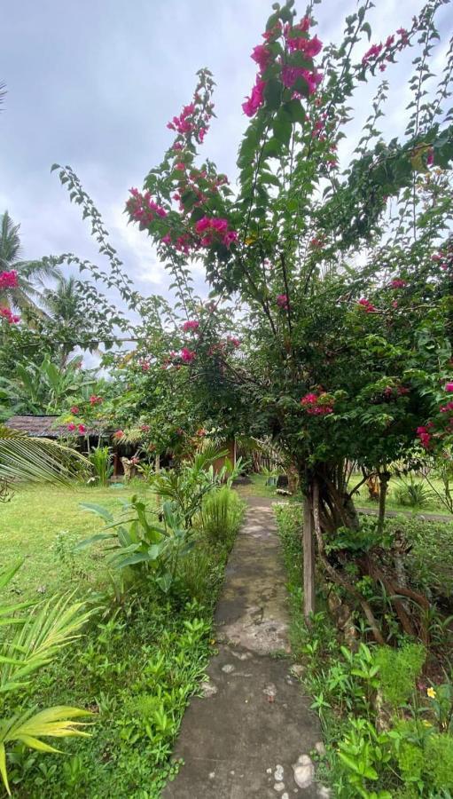 Kubu Artha Bungalow Nusa Penida Ped Eksteriør billede