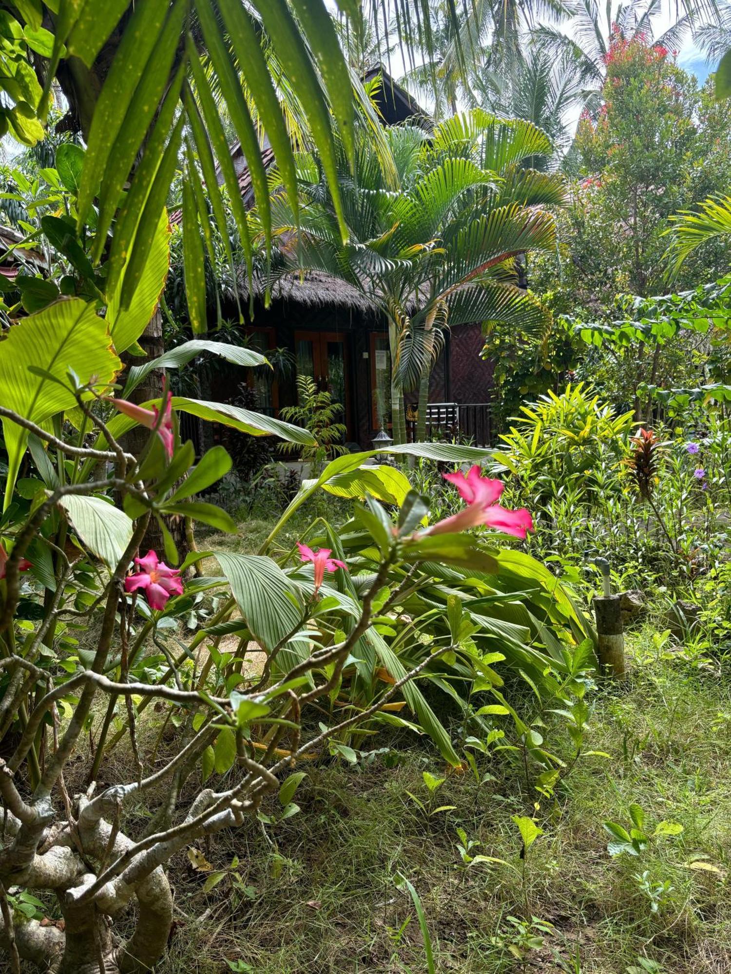 Kubu Artha Bungalow Nusa Penida Ped Eksteriør billede