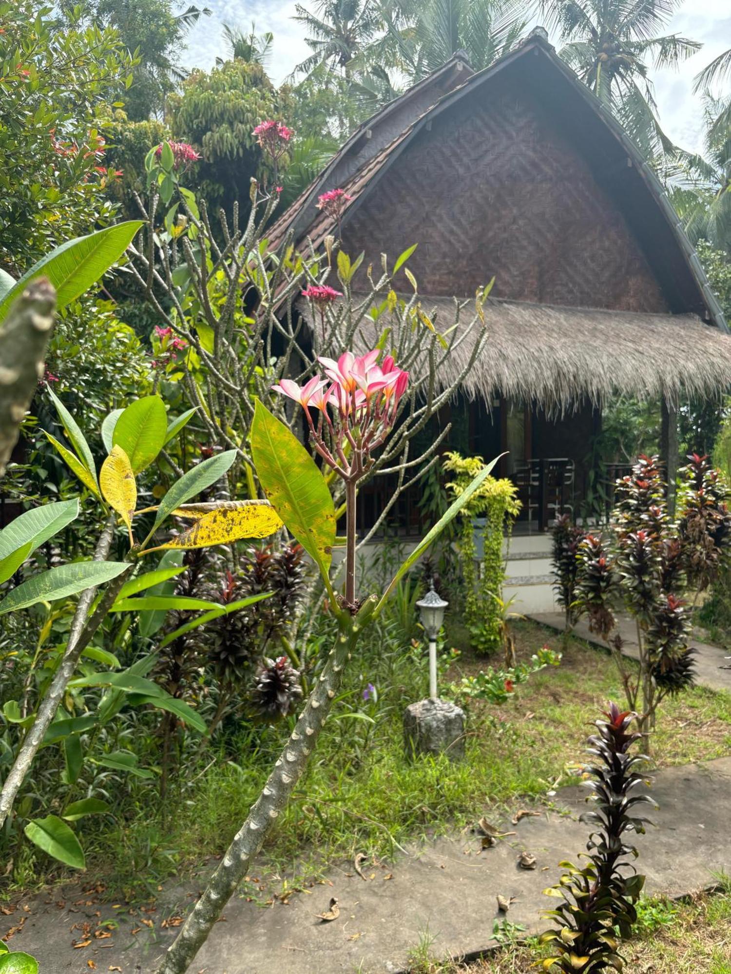 Kubu Artha Bungalow Nusa Penida Ped Eksteriør billede